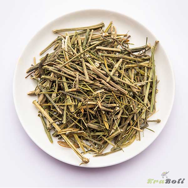 Swertia Chirayita – From Bandarban Swertia Chirayita – From Bandarban
