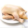 Deshi Duck: live (দেশি হাঁস: জীবন্ত)