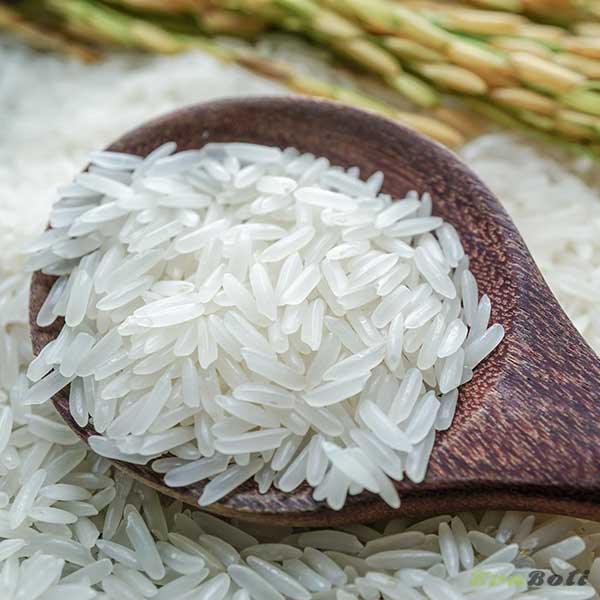 katarivog rice/ kataribhog rice / কাটারিভোগ চাল/ দিনাজপুরের স্বর্ণধান - from dinajpur katarivog rice/ kataribhog rice / কাটারিভোগ চাল/ দিনাজপুরের স্বর্ণধান - from dinajpur